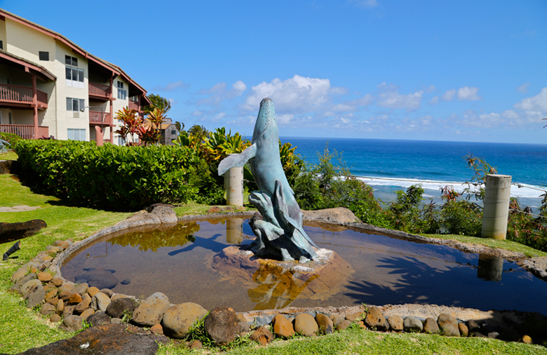 Pahio Resorts Extra Holidays in Kauai, Hawaii Club Wyndham